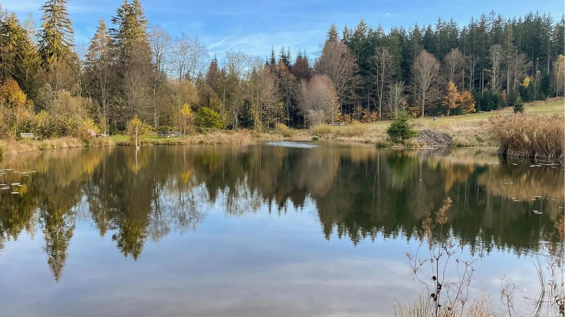 Cozy Home In Bayerisch Eisenstein With Wifi Regenhutte Germany